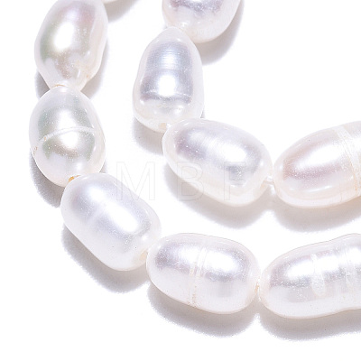Natural Cultured Freshwater Pearl Beads Strands PEAR-N012-04N-1
