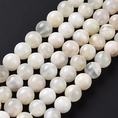 Natural White Moonstone Beads Strands G-F674-08-10mm-01-1