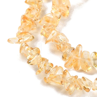 Transparent Glass Beads Strands GLAA-P060-01A-10-1