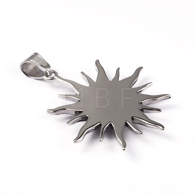 316 Surgical Stainless Steel Big Pendants STAS-K086-26AS-1