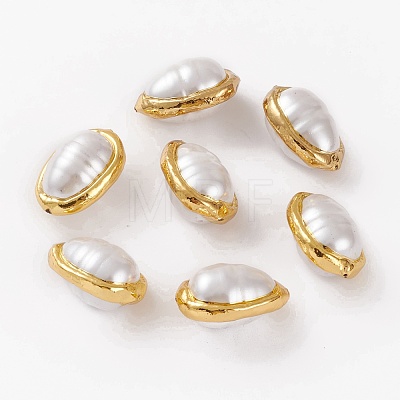 Natural Shell Beads BSHE-C001-04G-1