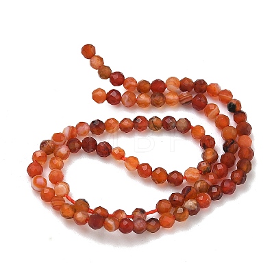 Natural Red Agate Beads Strands G-B168-A04-2mm-1