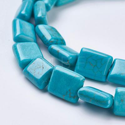 Natural Magnesite Beads Strands TURQ-K003-12C-1