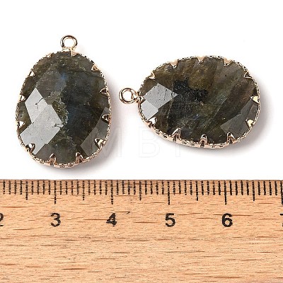 Natural Labradorite Faceted Pendants G-Q169-01G-03-1