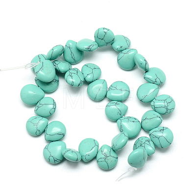 Dyed Synthetic Turquoise Gemstone Beads Strands G-T005-10-1