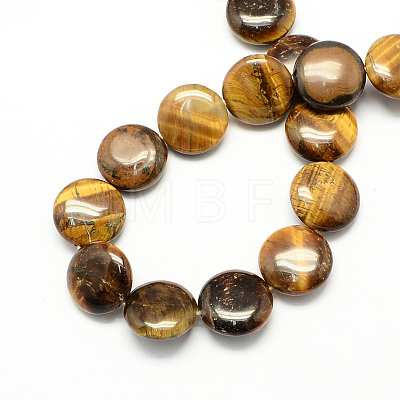 Natural Tiger Eye Stone Bead Strands X-G-S110-15-1