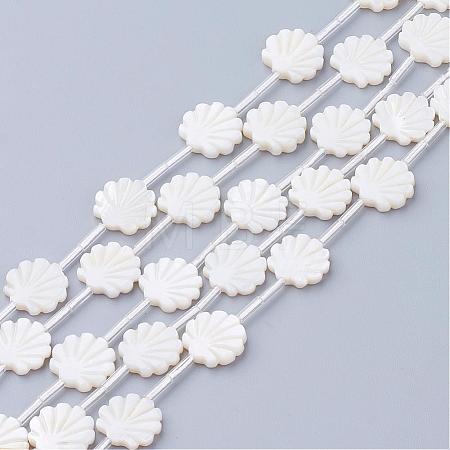 Natural White Shell Beads SSHEL-Q298-06-1