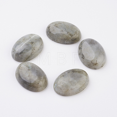 Natural Labradorite Flat Back Cabochons G-G741-30x40mm-18-1
