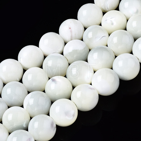 Natural Trochid Shell/Trochus Shell Beads Strands SSHEL-S266-023A-03-1