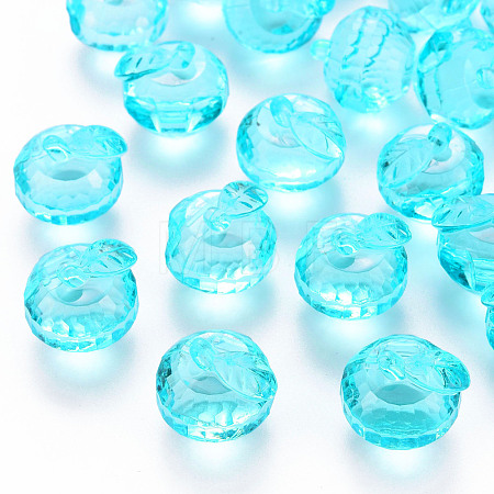 Transparent Acrylic Pendants TACR-T024-05B-946-1