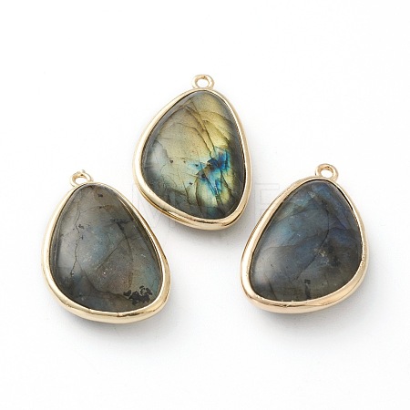 Natural Labradorite Pendants G-B009-05G-1