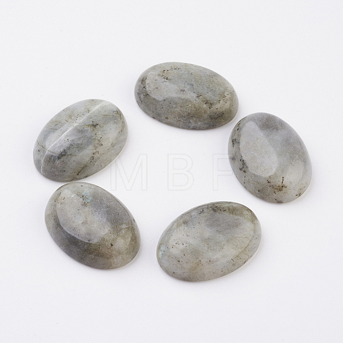 Natural Labradorite Flat Back Cabochons G-G741-30x40mm-18-1