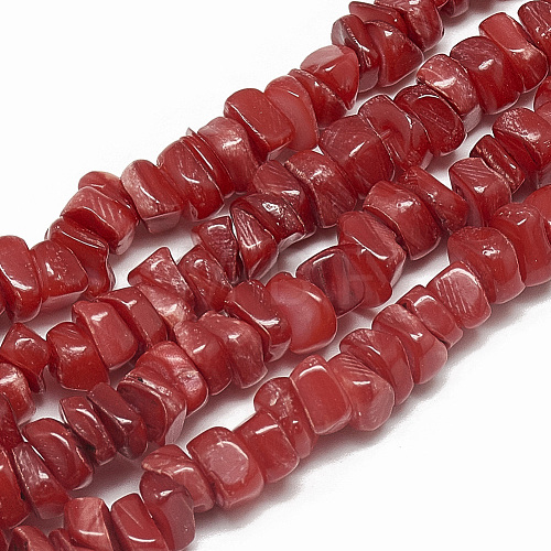 Freshwater Shell Beads Strands SHEL-S270-12-1