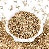 Glass Bugle Beads SEED-R011-22-2