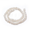Natural Cultured Freshwater Pearl Beads Strands PEAR-I004-07A-3