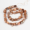 Erose Natural Shell Beads Strands PBB069Y-2