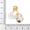 Bras Micro Pave Clear Cubic Zirconia European Dangle Charm PL-CBA9D14-02G-3