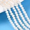 Natural Cultured Freshwater Pearl Beads Strands PEAR-N013-02L-1
