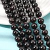 Natural Garnet Gemstone Bead Strands X-G-R263-10mm-5