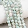 Natural Amazonite Beads Strands G-O164-02-6mm-8