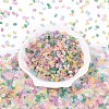 FGB Frosted Transparent Glass Seed Beads SEED-N013-06A-2