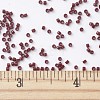 MIYUKI Delica Beads SEED-X0054-DB2119-4