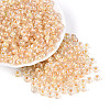 FGB Inside Colours Transparent Glass Seed Beads SEED-T009-01G-3
