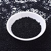 MIYUKI Round Rocailles Beads SEED-G007-RR0401-2