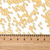 12/0 Transparent Glass Seed Beads X-SEED-F003-03C-01-4