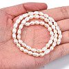 Natural Cultured Freshwater Pearl Beads Strands X-PEAR-N012-04B-5