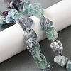 Natural Fluorite Beads Strands G-S386-C09-1