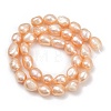 Natural Cultured Freshwater Pearl Beads Strands PEAR-P064-20K-04C-01-3