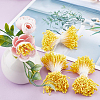 6Bundles Gypsum Artificial Flower Heart Core DIY-GF0014-11A-4