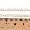 Natural White Shell Beads Strands SHEL-M021-03B-4