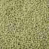 TOHO 8/0 Round Beads X-SEED-TR08-PF0559-2