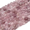 Natural Madagascar Rose Quartz Beads Strands G-Q060-E21-03-2