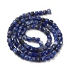 Natural Sodalite Beads Strands G-H042-A08-02-3