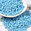 Baking Paint Glass Seed Beads X1-SEED-B001-02A-12-1