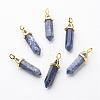 Natural Sodalite Double Terminated Pointed Pendants G-G902-B14-2