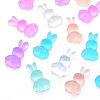 Transparent Resin Cabochons CRES-Q216-014-1