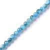 Natural Apatite Beads Strands G-I254-08H-2