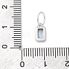 925 Sterling Silver Cubic Zirconia Charms STER-NH0014-01P-03-3