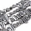 Electroplate Natural Freshwater Shell Beads Strands SHEL-R049-025-2