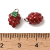 Brass Enamel Charms KK-S368-02P-01-3