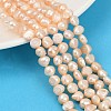 Natural Cultured Freshwater Pearl Beads Strands PEAR-P064-19H-02C-1