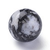 Natural Zebra Jasper Beads G-L564-004-F01-2