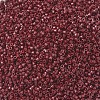 MIYUKI Delica Beads SEED-MY11-DB2119-3