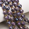 Electroplated Natural Druzy Geode Crystal Beads Strands G-F833-P01-10mm-02-1