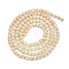 Electroplate Bicone Glass Beads Strands GL-T021-2.5x3mm-16-13-3