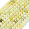 Natural New Jade Stone Round Bead Strands G-O039-16-8mm-01-1